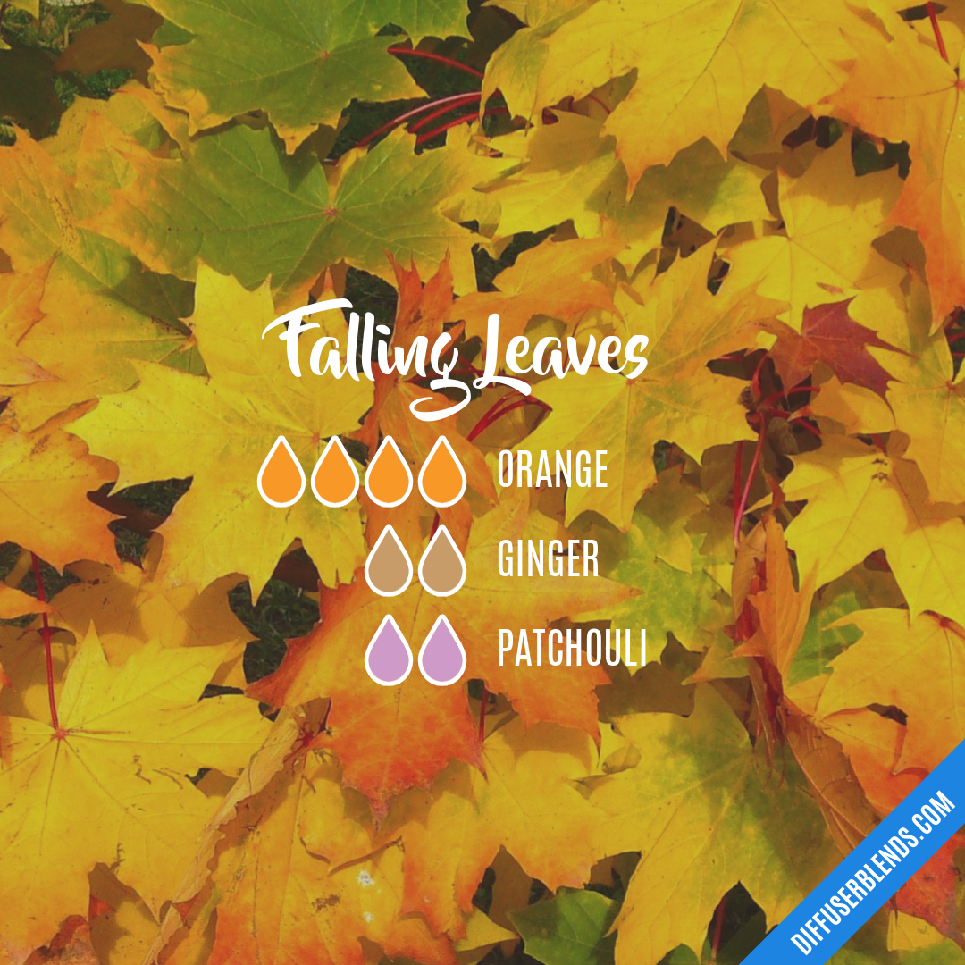 Falling Leaves | DiffuserBlends.com