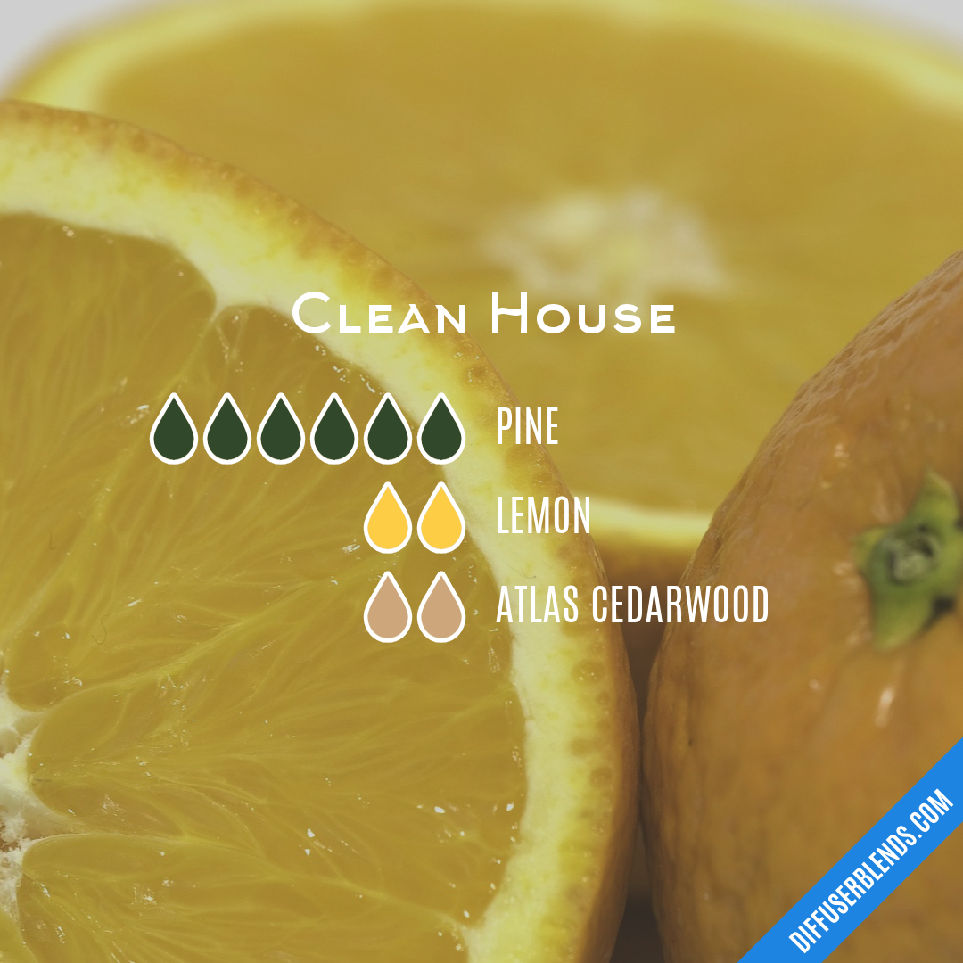 Clean House — Essential Oil Diffuser Blend