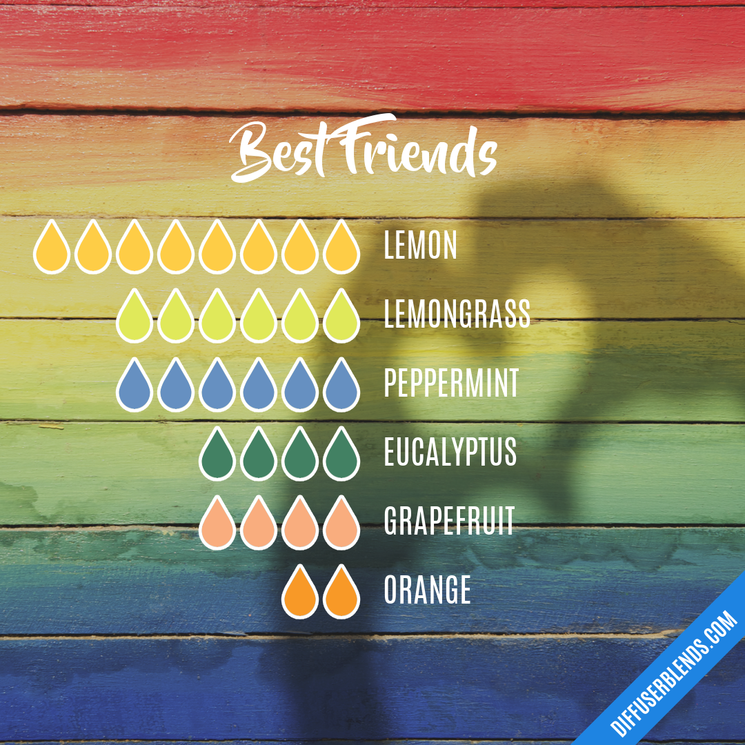 Best Friends — Essential Oil Diffuser Blend