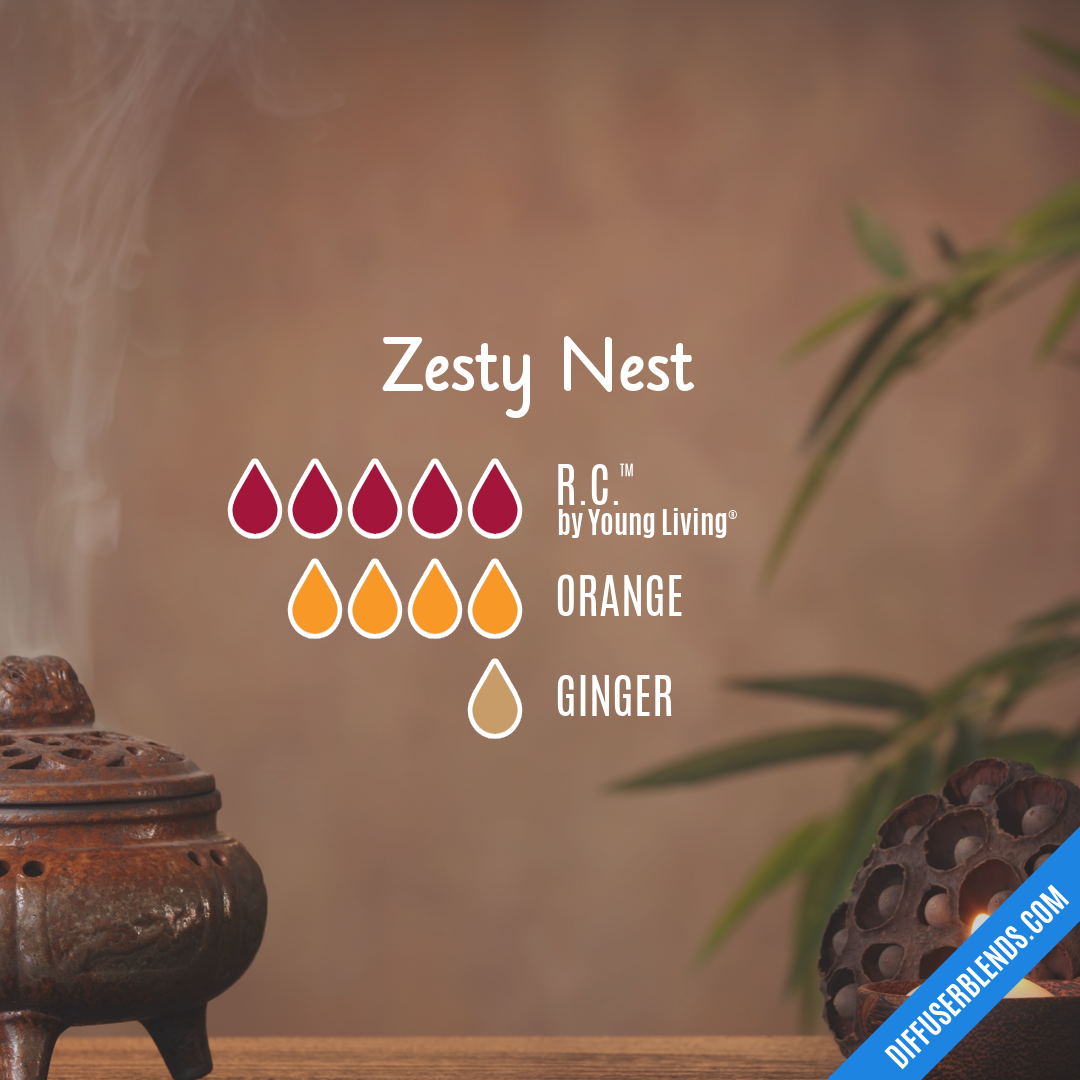 Zesty Nest — Essential Oil Diffuser Blend