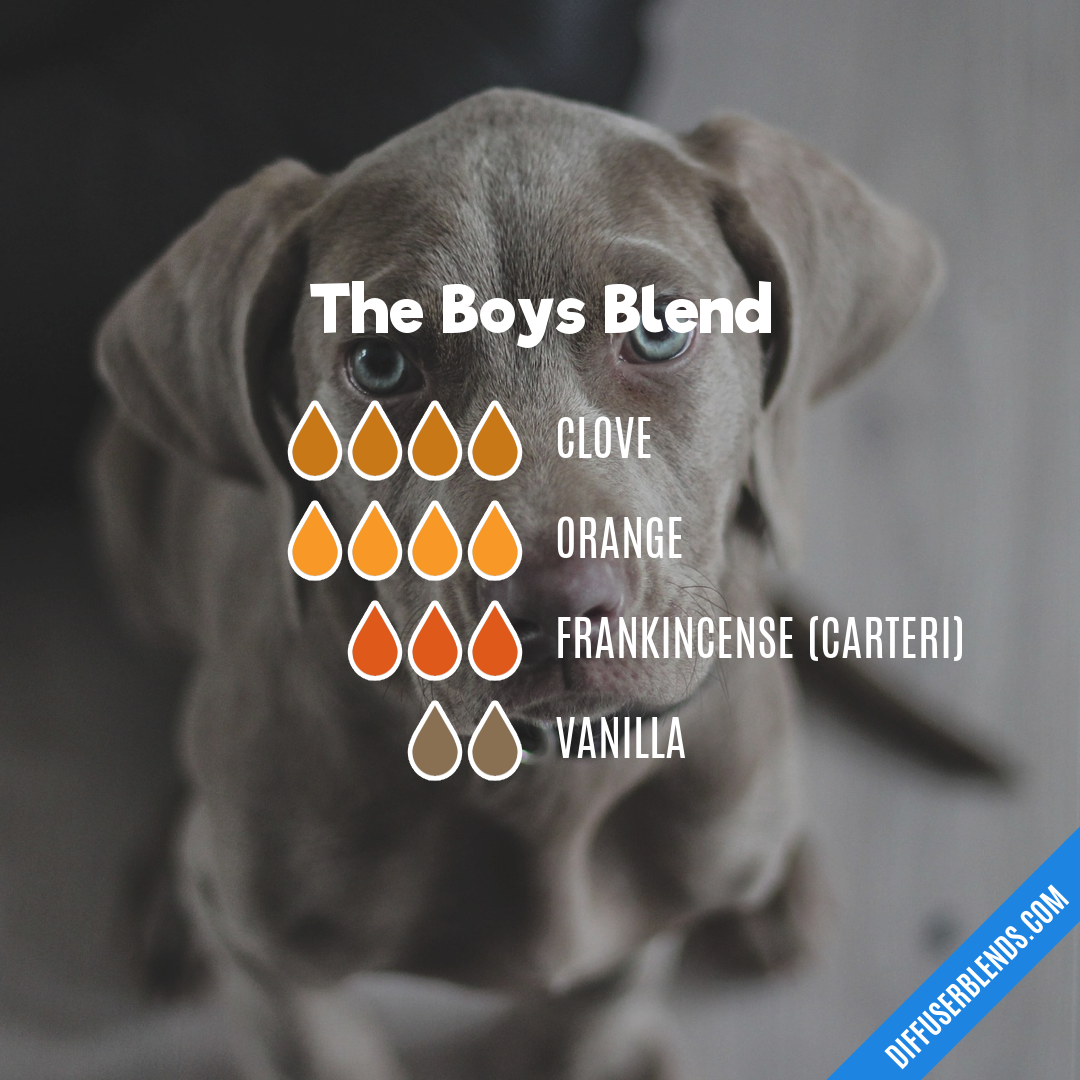 The Boys Blend — Essential Oil Diffuser Blend