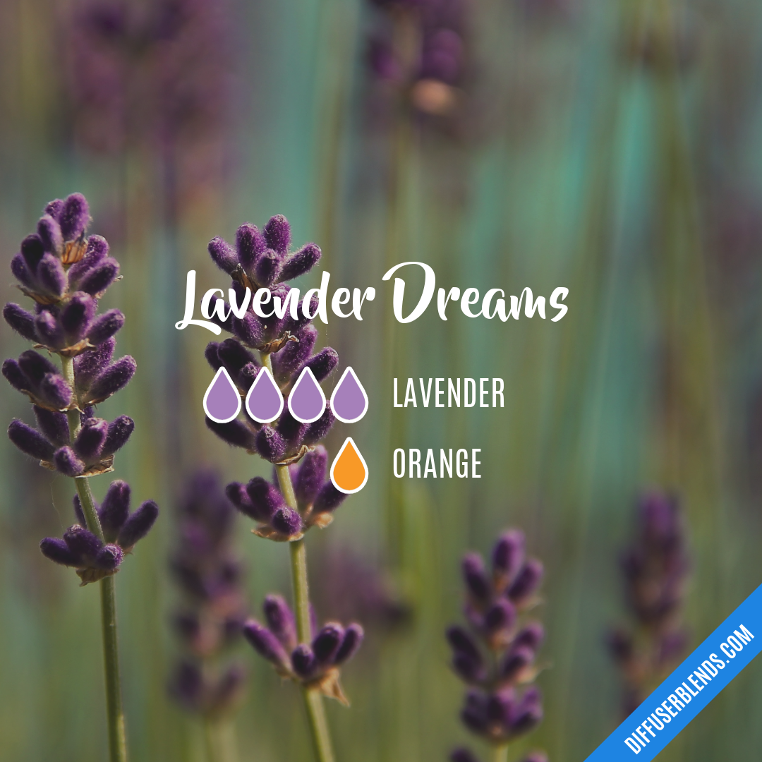 Lavender Dreams — Essential Oil Diffuser Blend