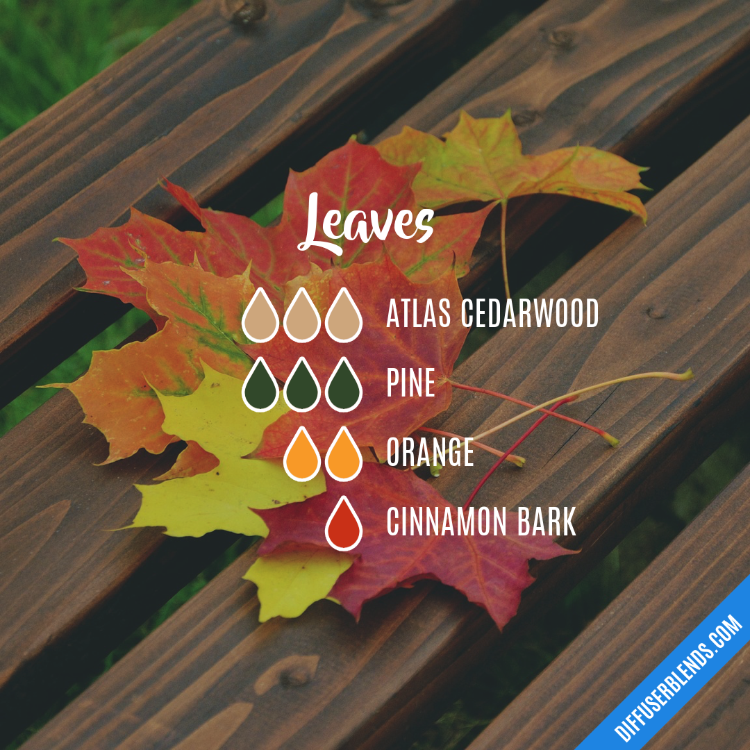 Leaves — Essential Oil Diffuser Blend