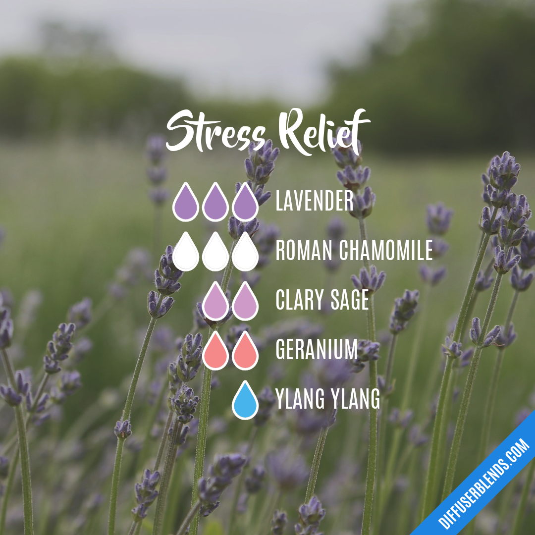 Stress Relief | DiffuserBlends.com