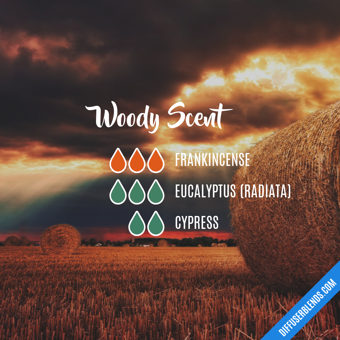 Woody Scent — Essential Oil Diffuser Blend