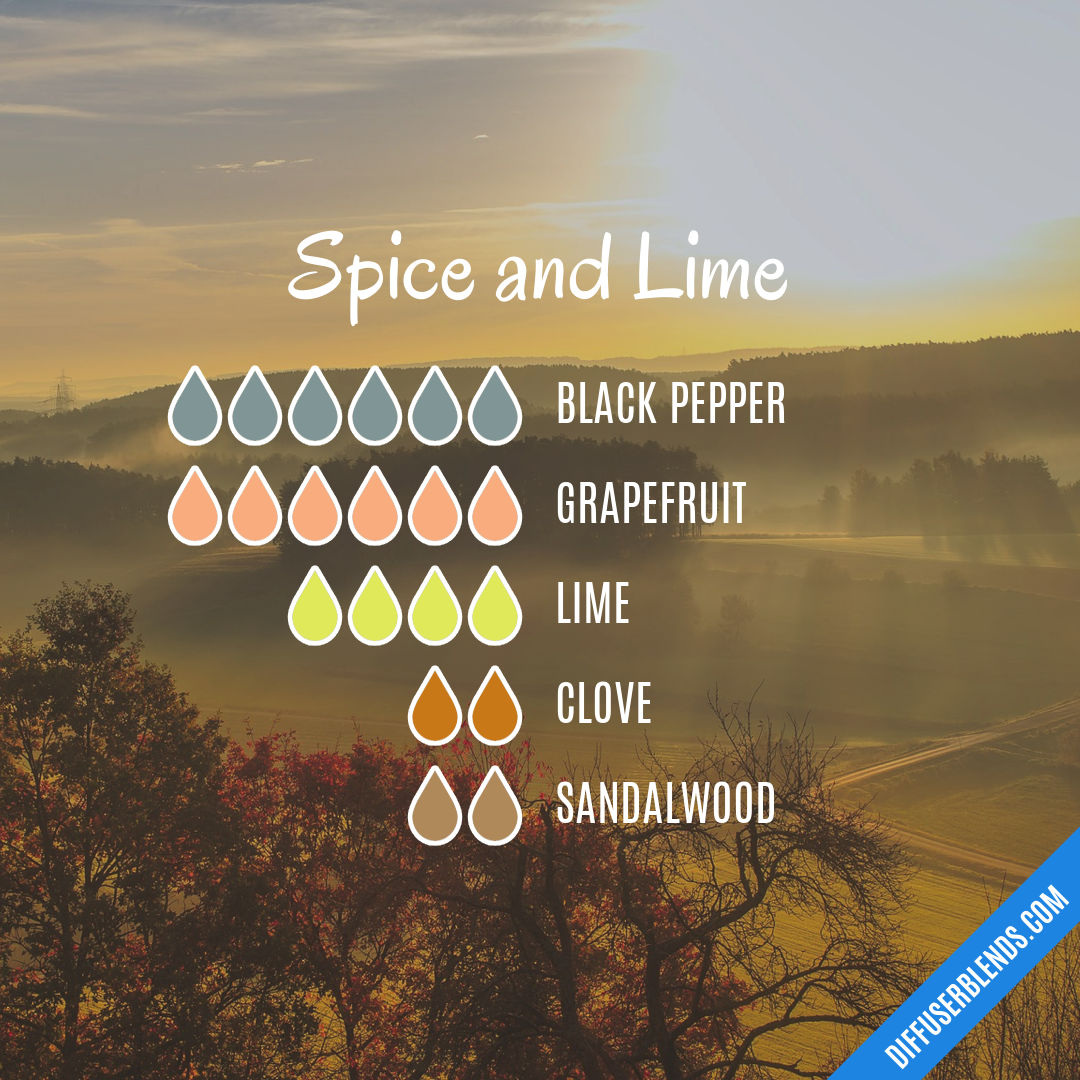 Spice and Lime — Essential Oil Diffuser Blend