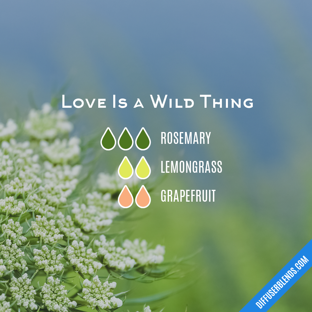 Love Is a Wild Thing — Essential Oil Diffuser Blend