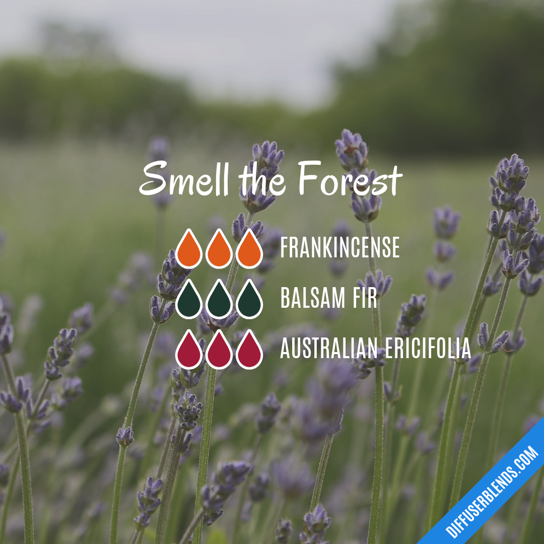 Smell the Forest — Essential Oil Diffuser Blend