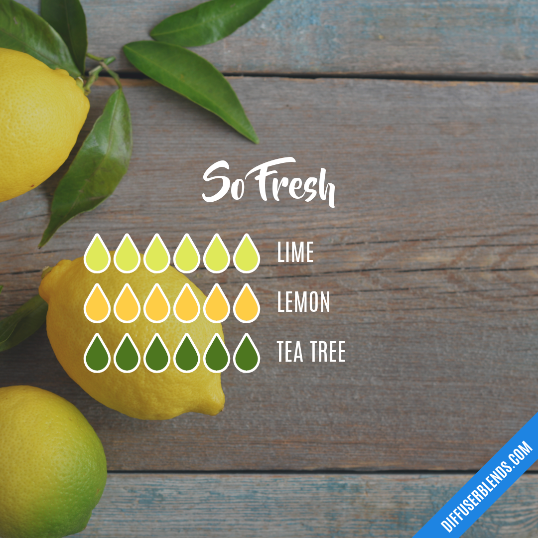 So Fresh — Essential Oil Diffuser Blend