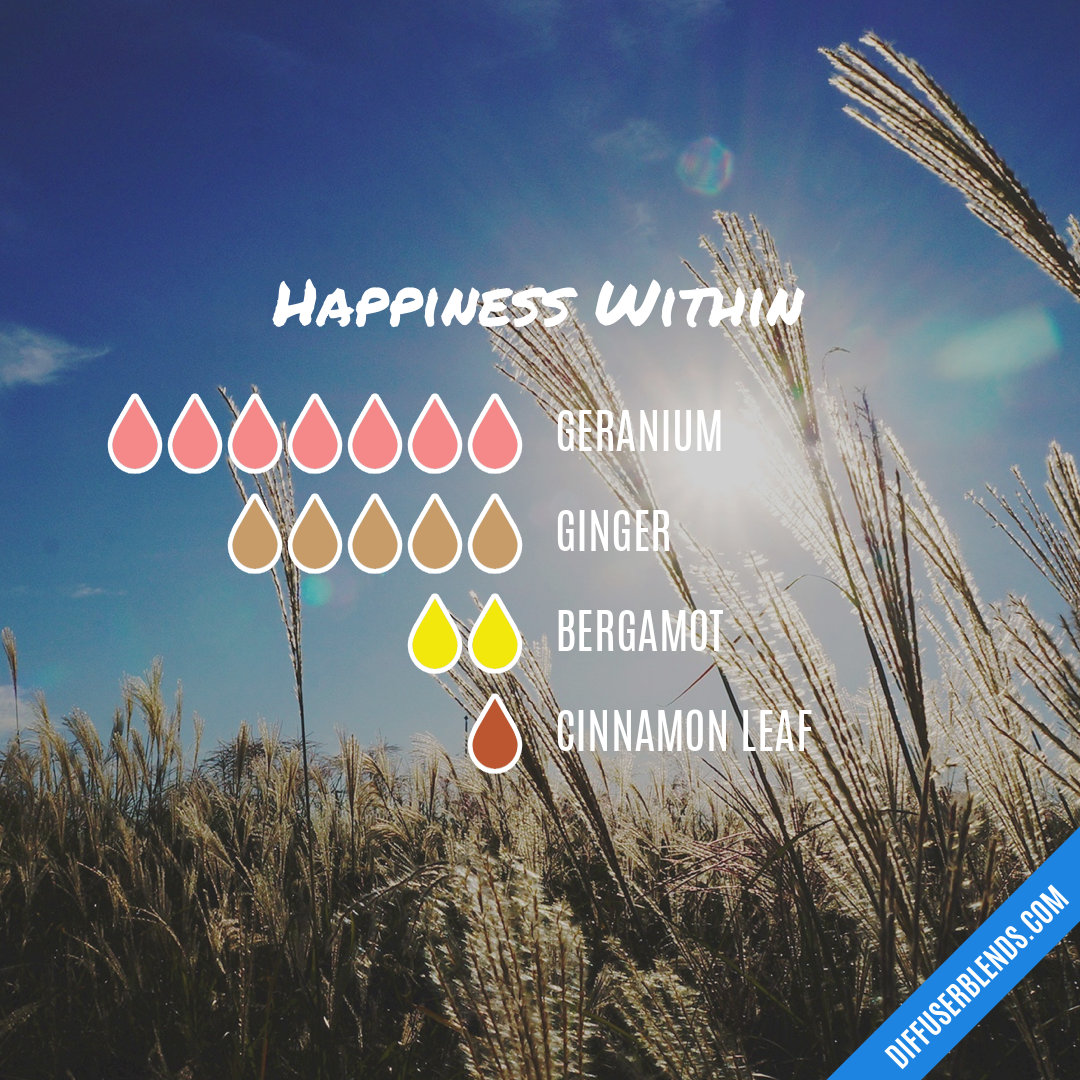 Happiness Within — Essential Oil Diffuser Blend