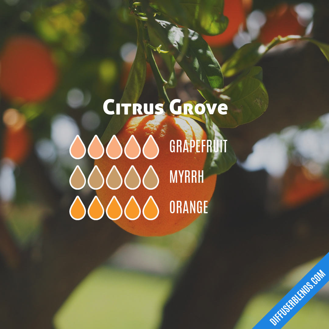 Citrus Grove — Essential Oil Diffuser Blend