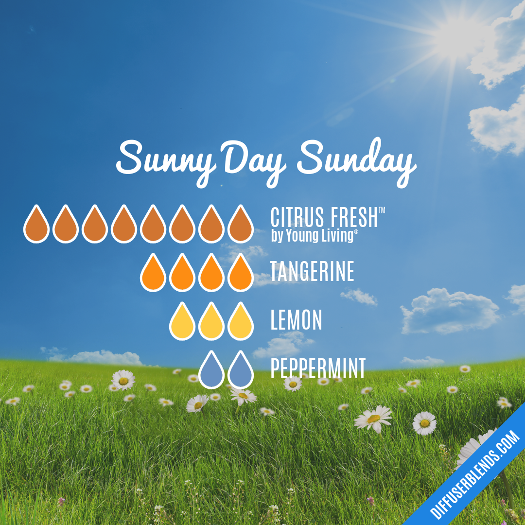 Sunny Day Sunday — Essential Oil Diffuser Blend