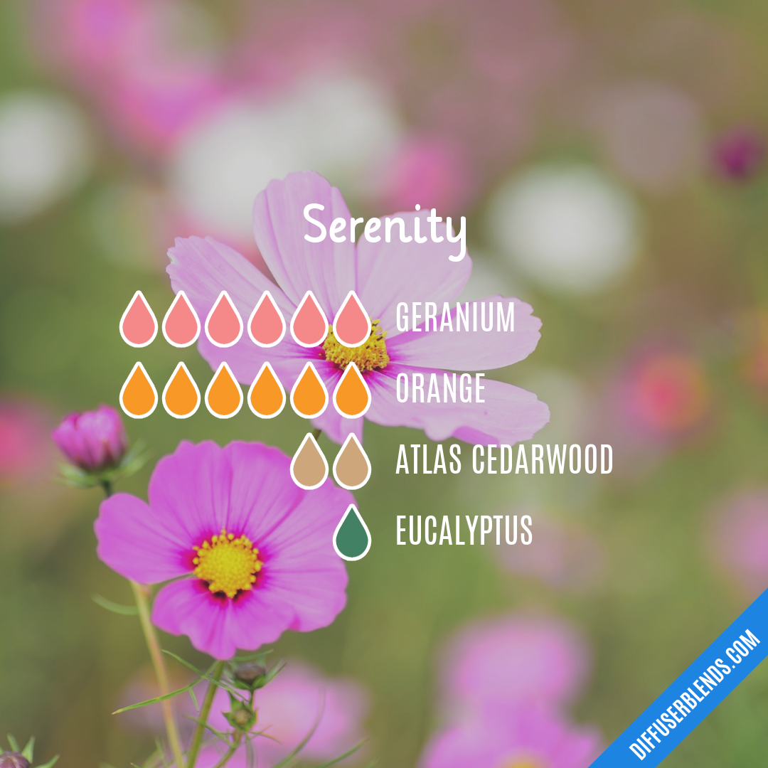 Serenity — Essential Oil Diffuser Blend