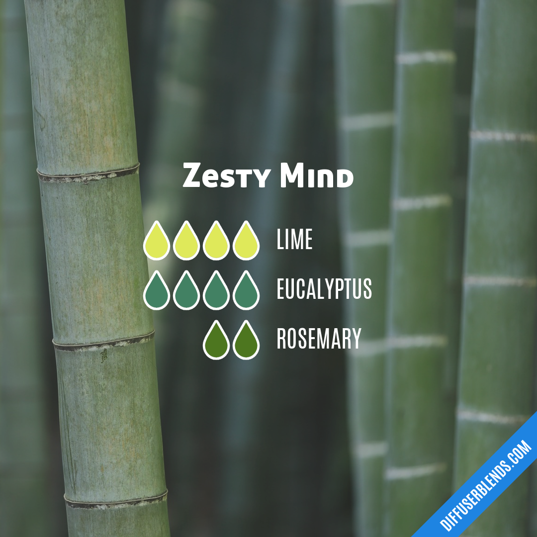 Zesty Mind — Essential Oil Diffuser Blend