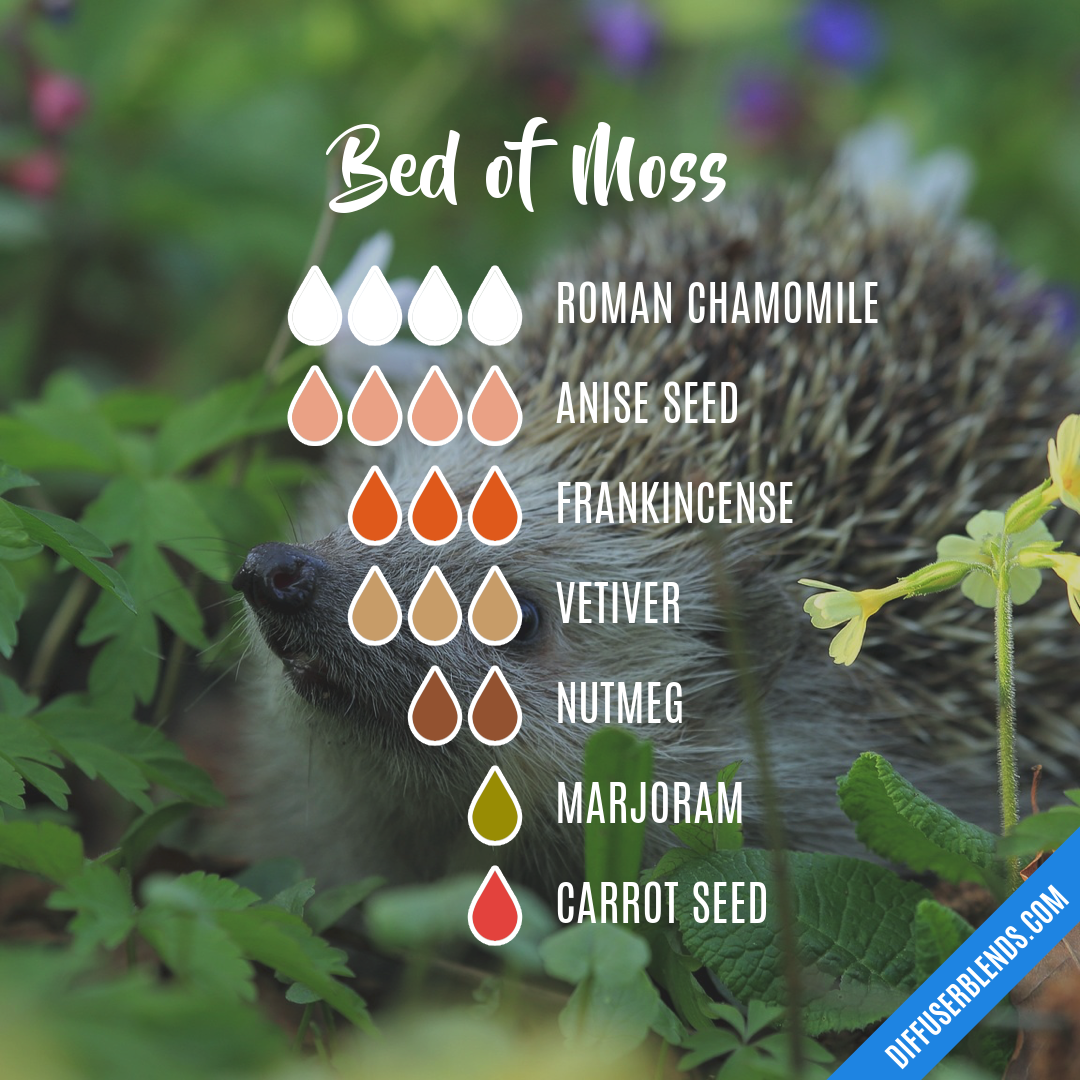 Bed of Moss — Essential Oil Diffuser Blend