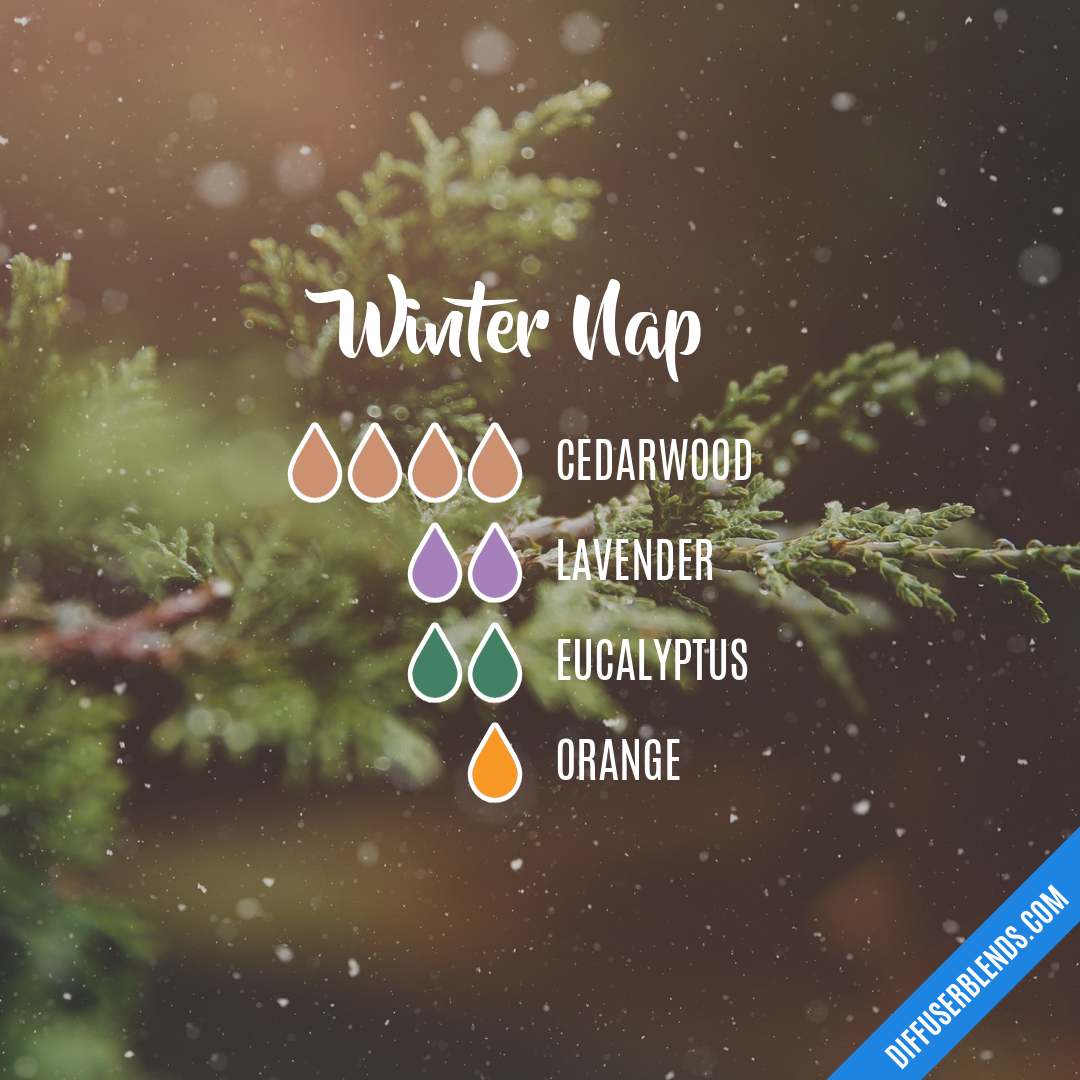 Winter Nap — Essential Oil Diffuser Blend