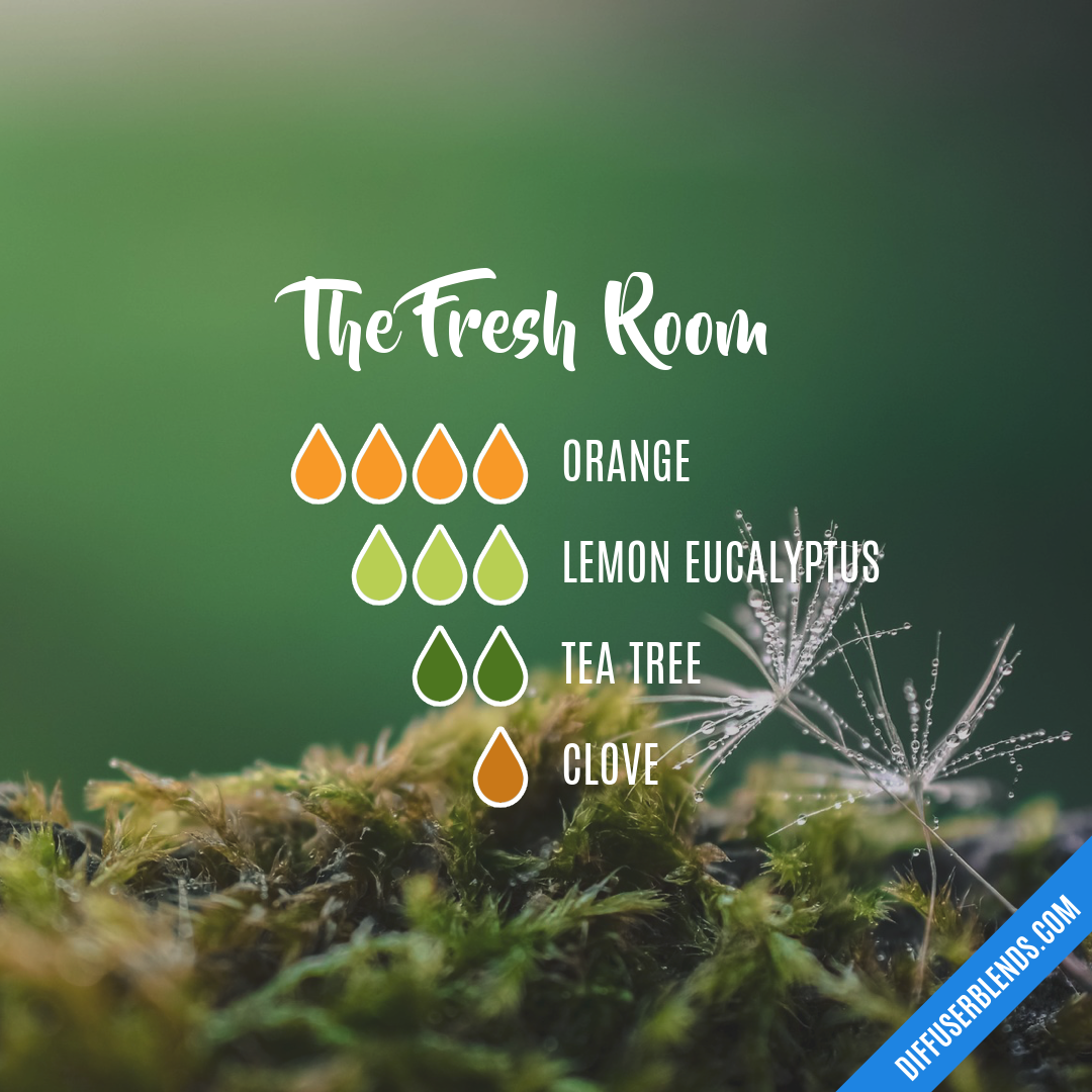 The Fresh Room — Essential Oil Diffuser Blend