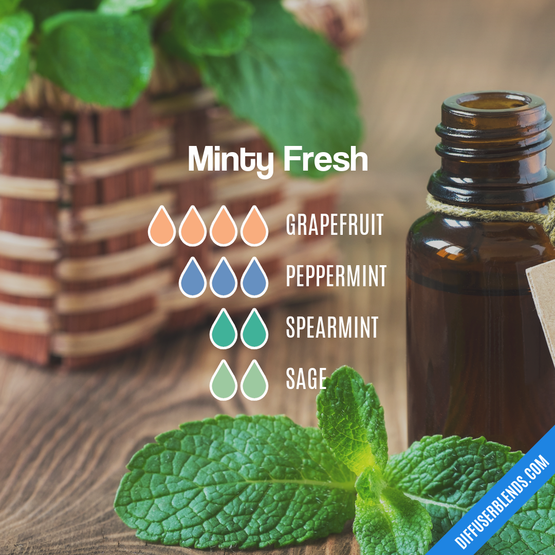 Minty Fresh — Essential Oil Diffuser Blend