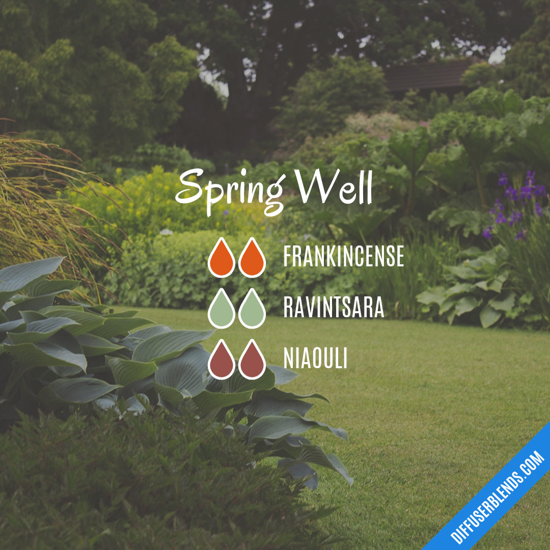 Spring Well — Essential Oil Diffuser Blend