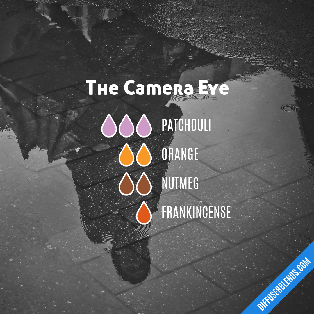 The Camera Eye — Essential Oil Diffuser Blend