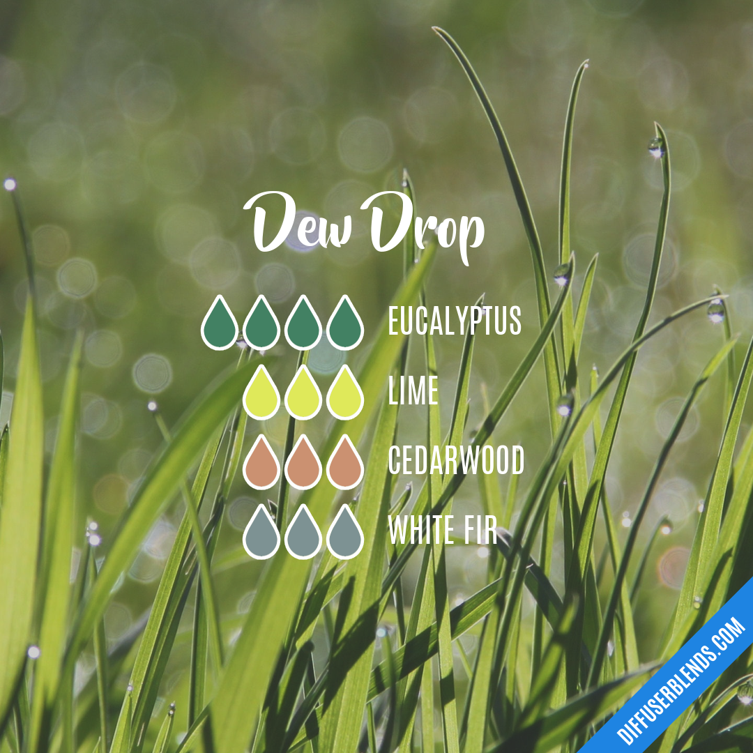 Dew Drop — Essential Oil Diffuser Blend