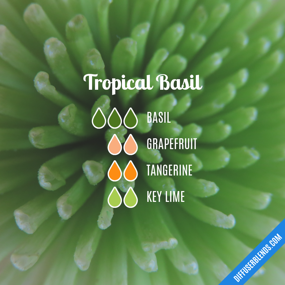 Tropical Basil — Essential Oil Diffuser Blend