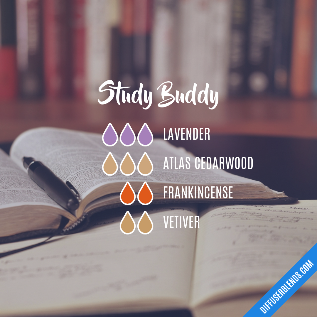 Study Buddy — Essential Oil Diffuser Blend