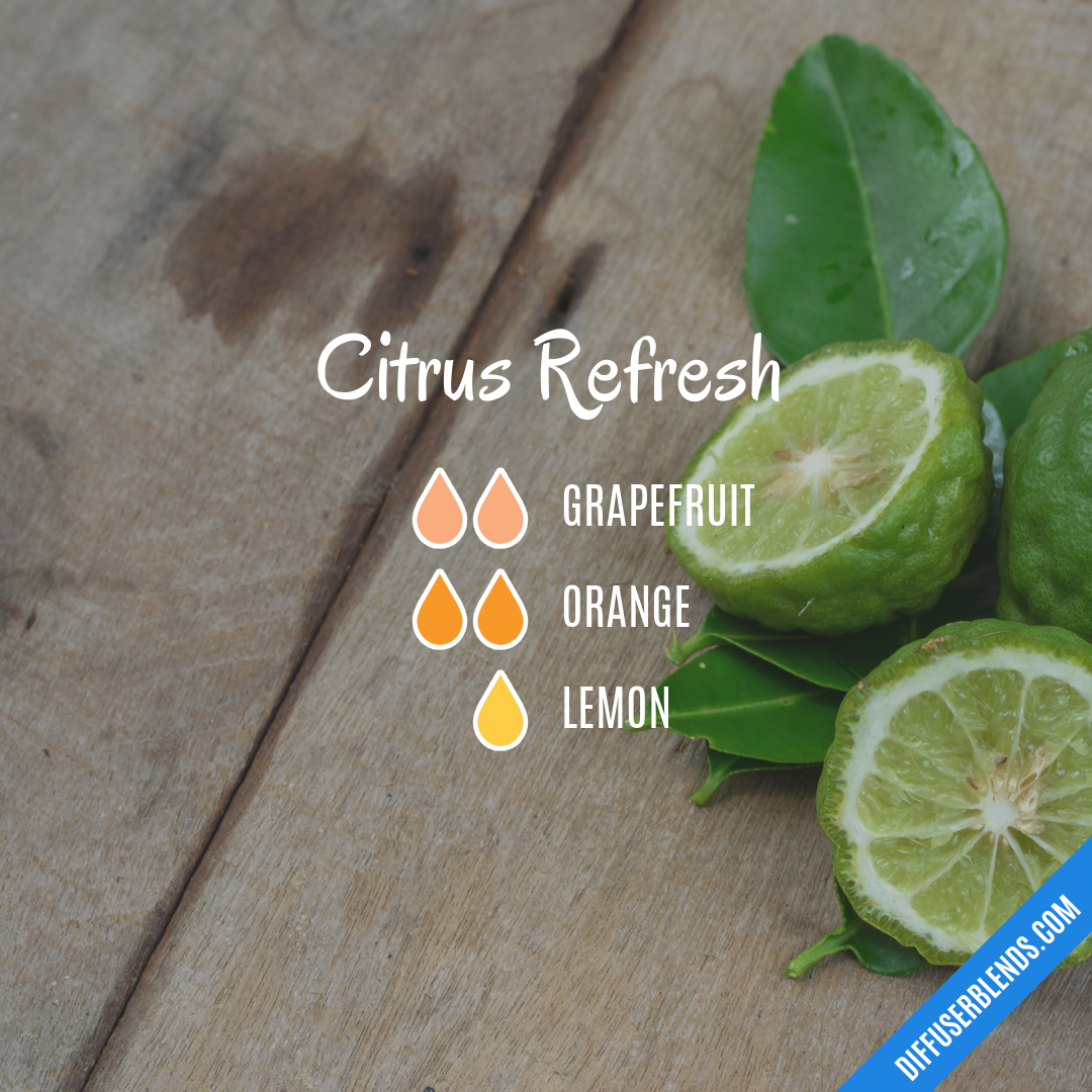 Citrus Refresh | DiffuserBlends.com