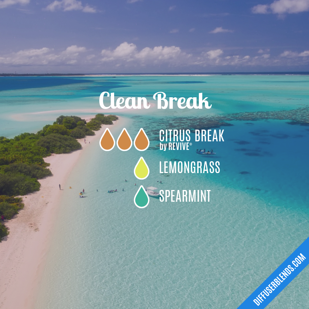 Clean Break — Essential Oil Diffuser Blend