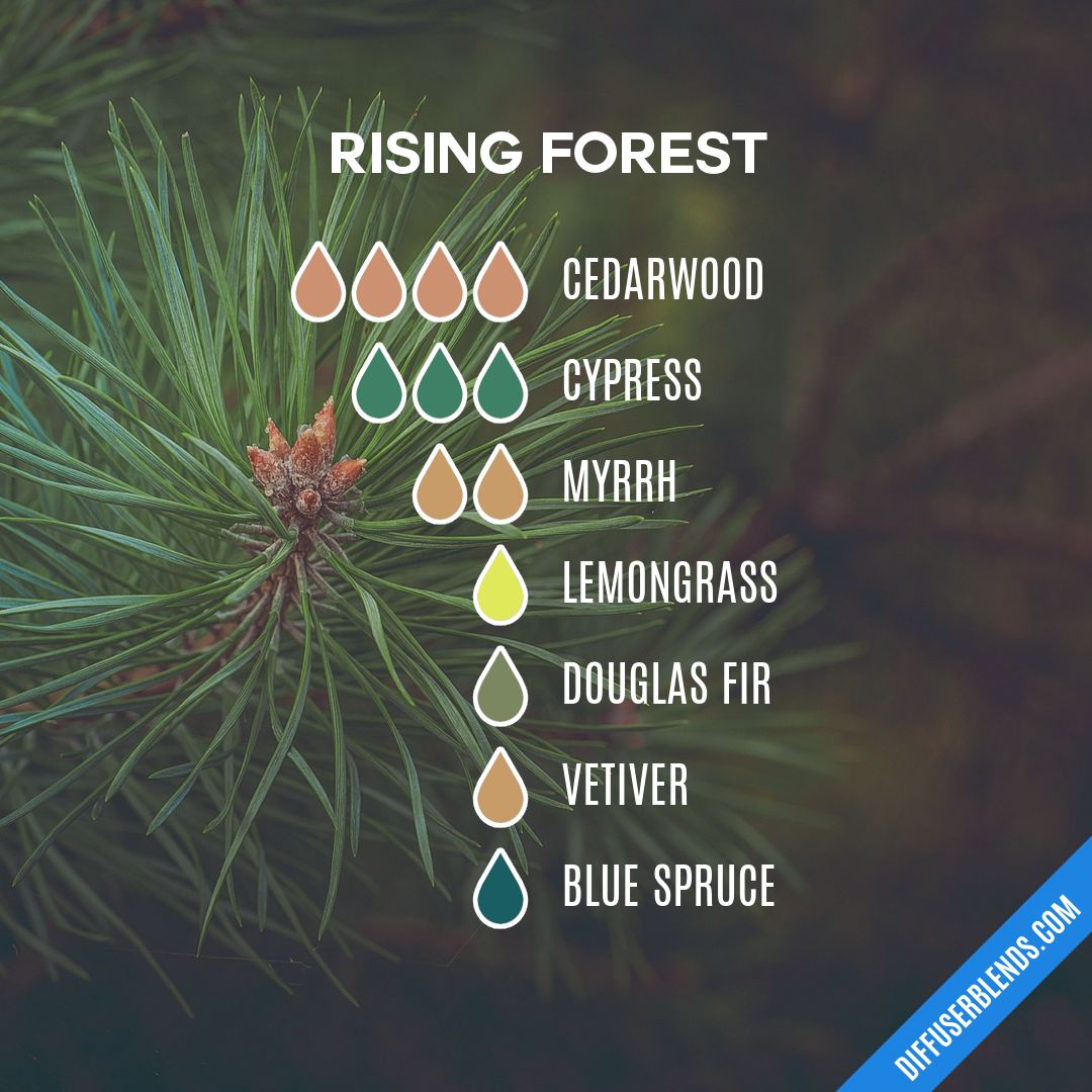 Rising Forest — Essential Oil Diffuser Blend