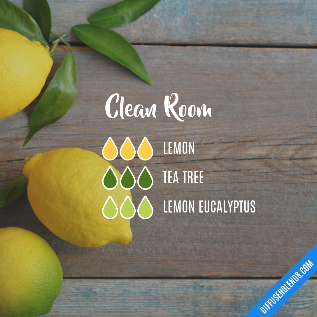 Clean Room — Essential Oil Diffuser Blend