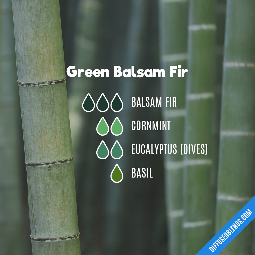 Green Balsam Fir — Essential Oil Diffuser Blend