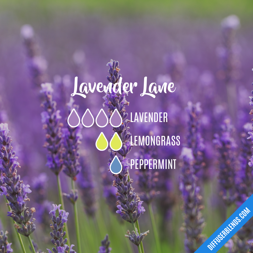 Lavender Lane — Essential Oil Diffuser Blend