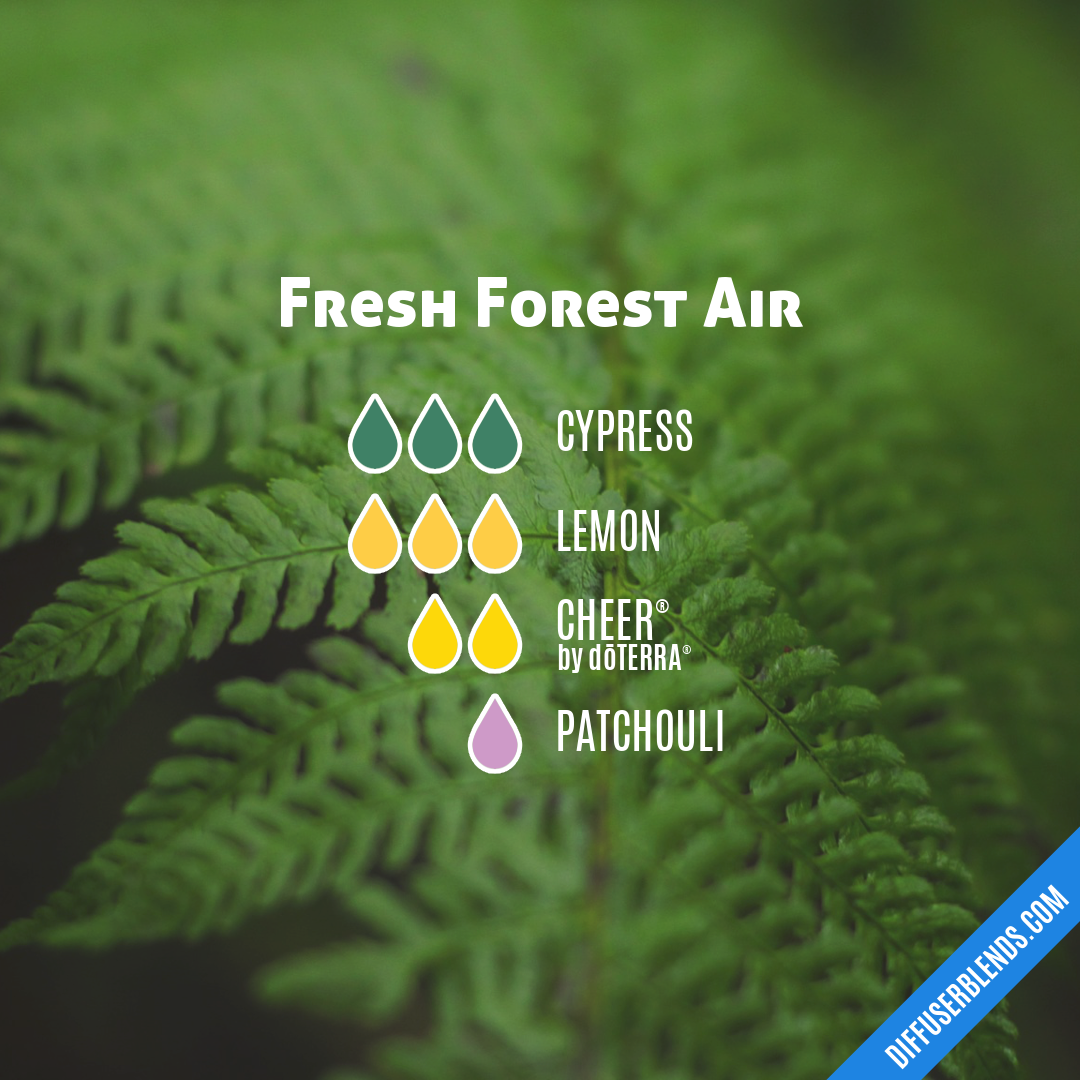 Fresh Forest Air — Essential Oil Diffuser Blend