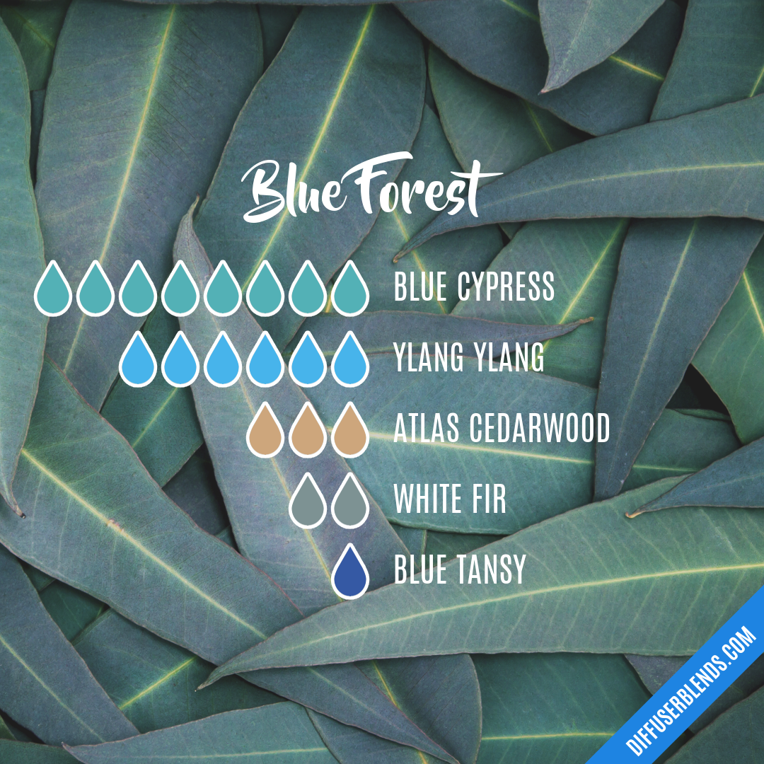 Blue Forest — Essential Oil Diffuser Blend