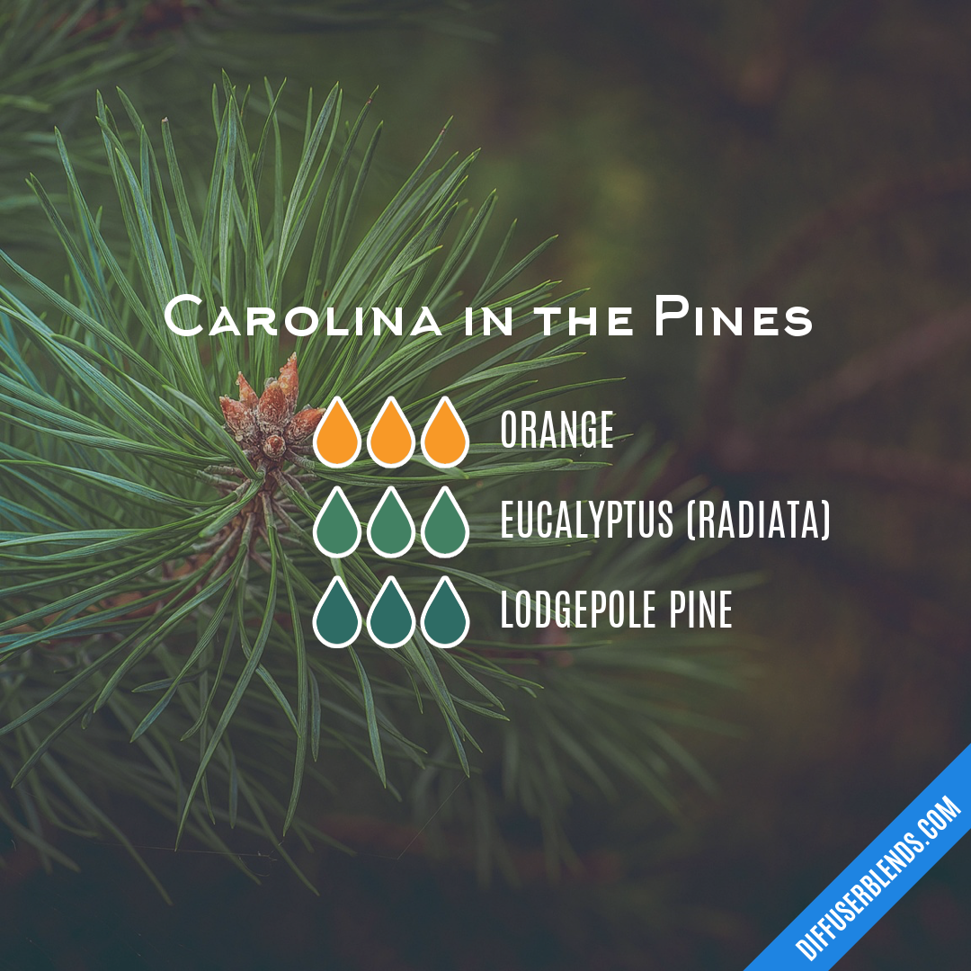 Carolina in the Pines — Essential Oil Diffuser Blend