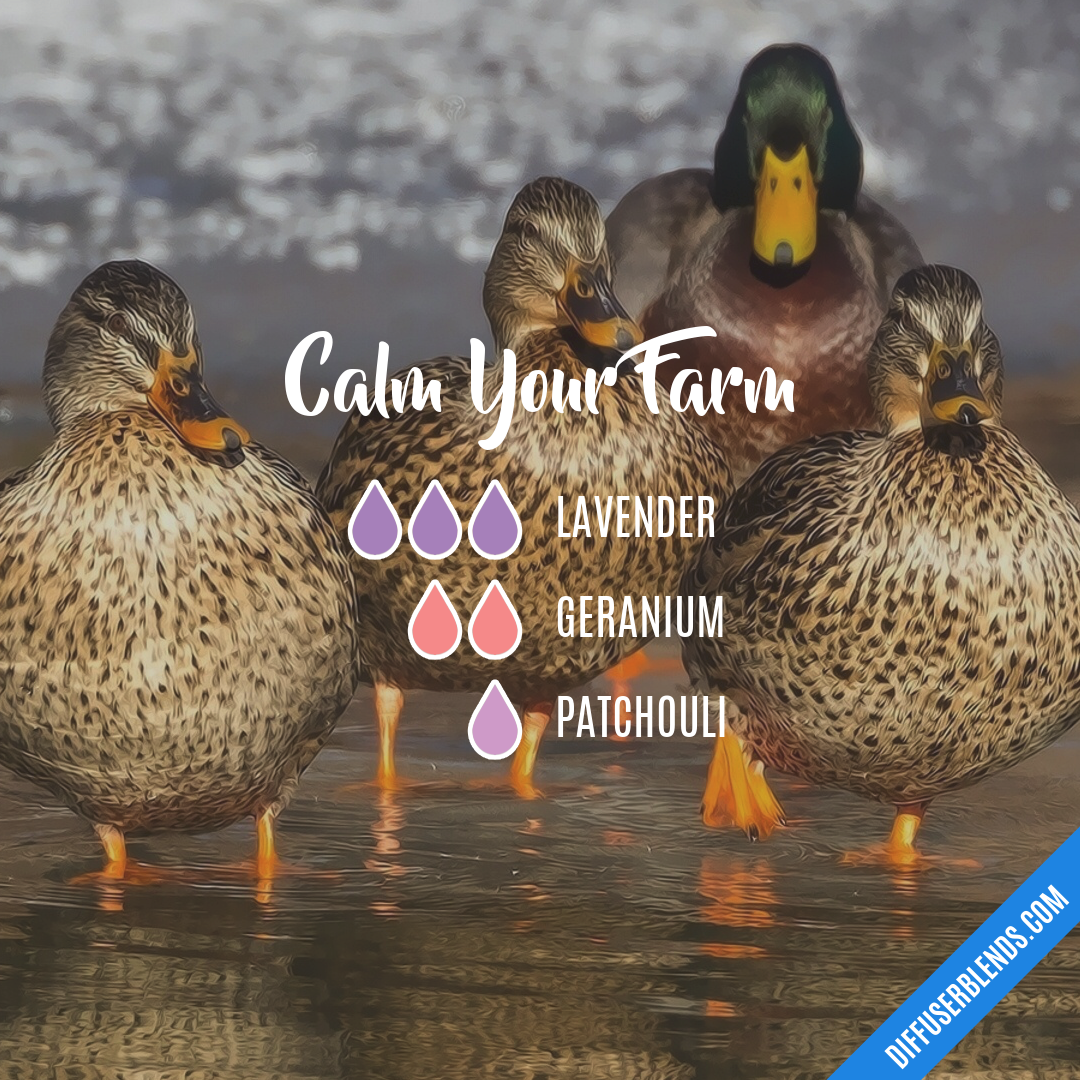 Calm Your Farm — Essential Oil Diffuser Blend