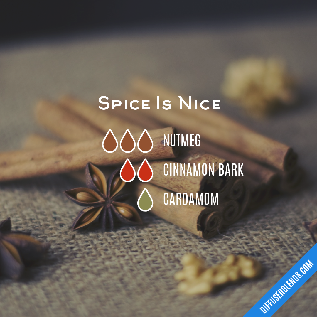 Spice Is Nice — Essential Oil Diffuser Blend