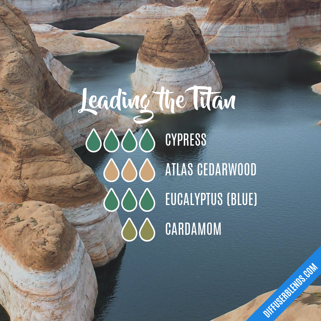 Leading the Titan — Essential Oil Diffuser Blend