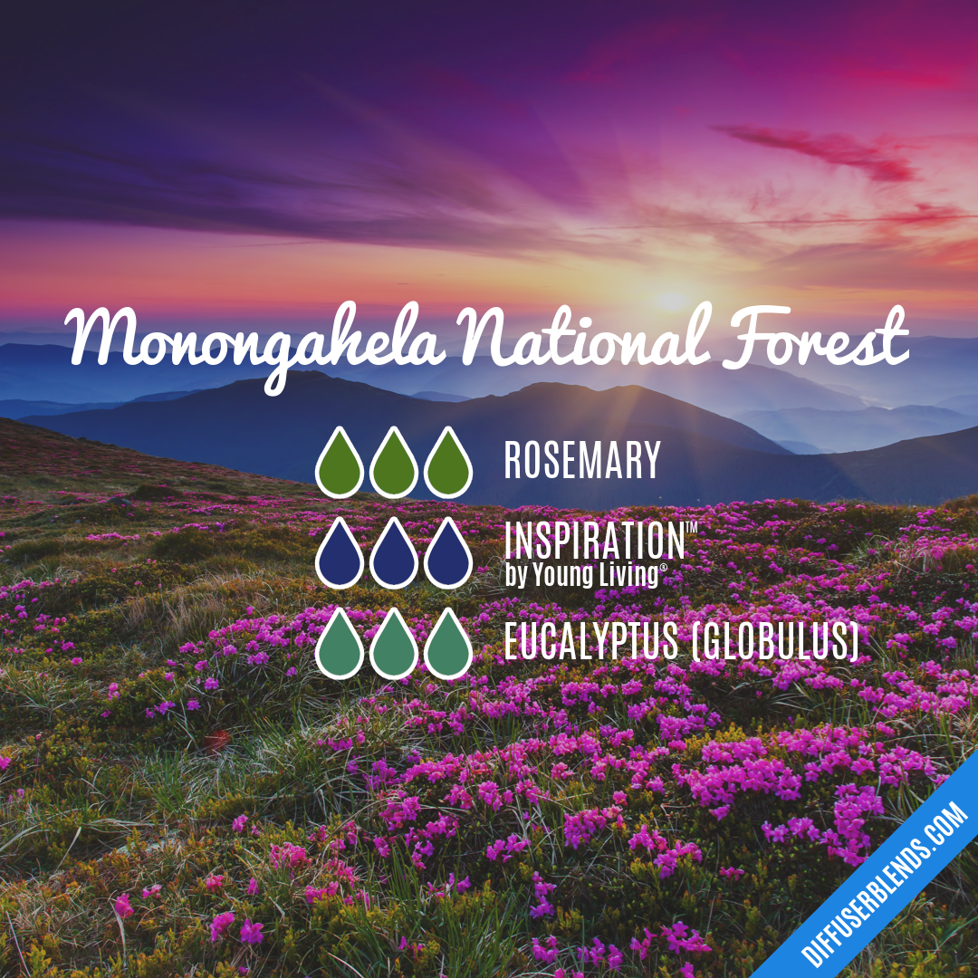 Monongahela National Forest — Essential Oil Diffuser Blend