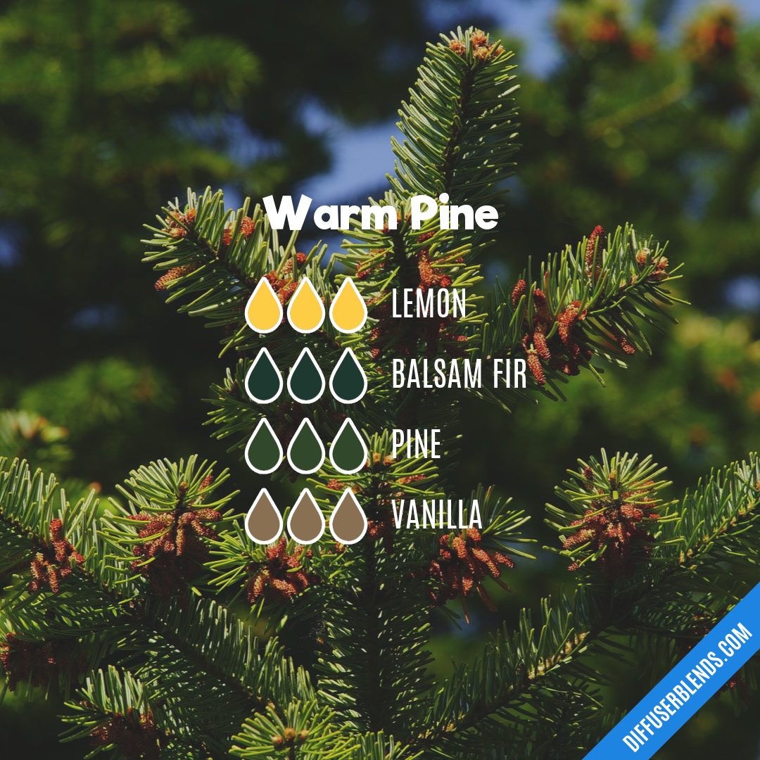 Warm Pine — Essential Oil Diffuser Blend