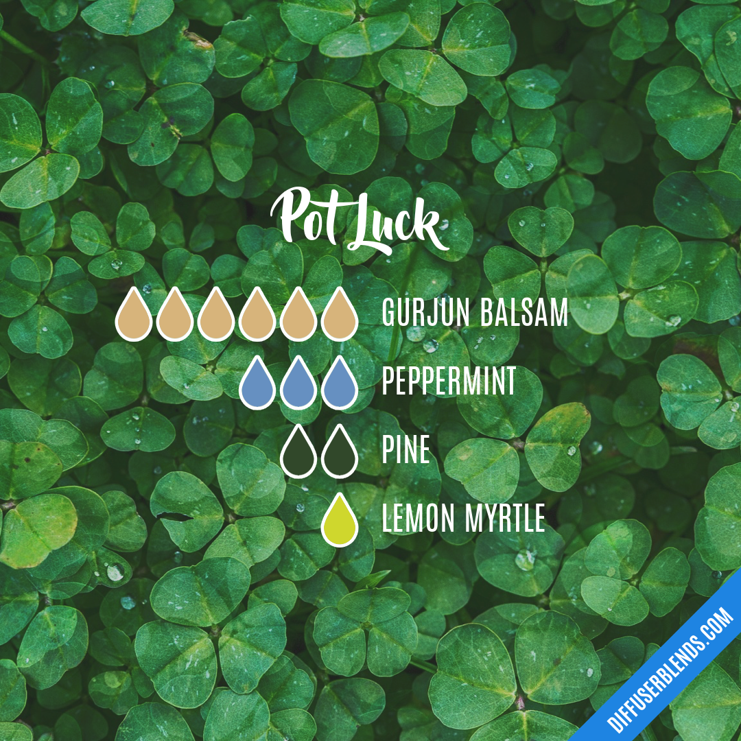 Pot Luck — Essential Oil Diffuser Blend