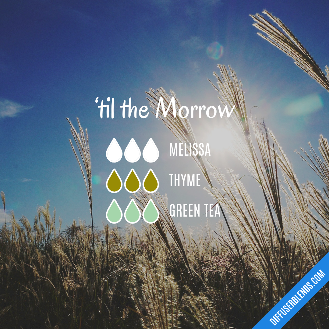 ‘til the Morrow — Essential Oil Diffuser Blend