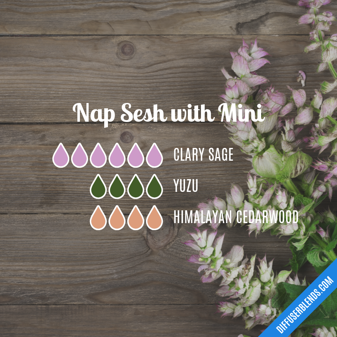 Nap Sesh with Mini — Essential Oil Diffuser Blend