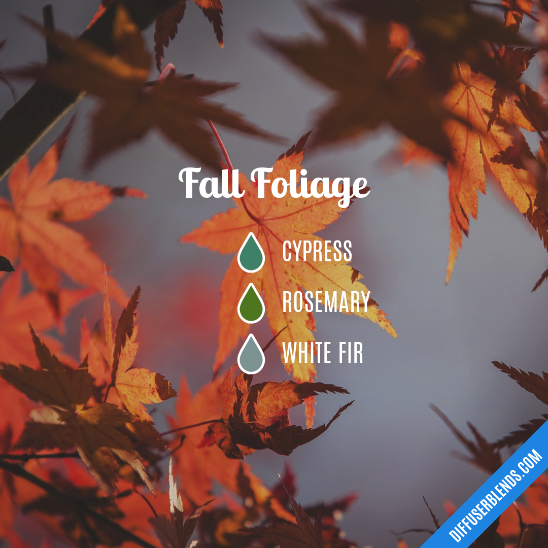 Fall Foliage — Essential Oil Diffuser Blend