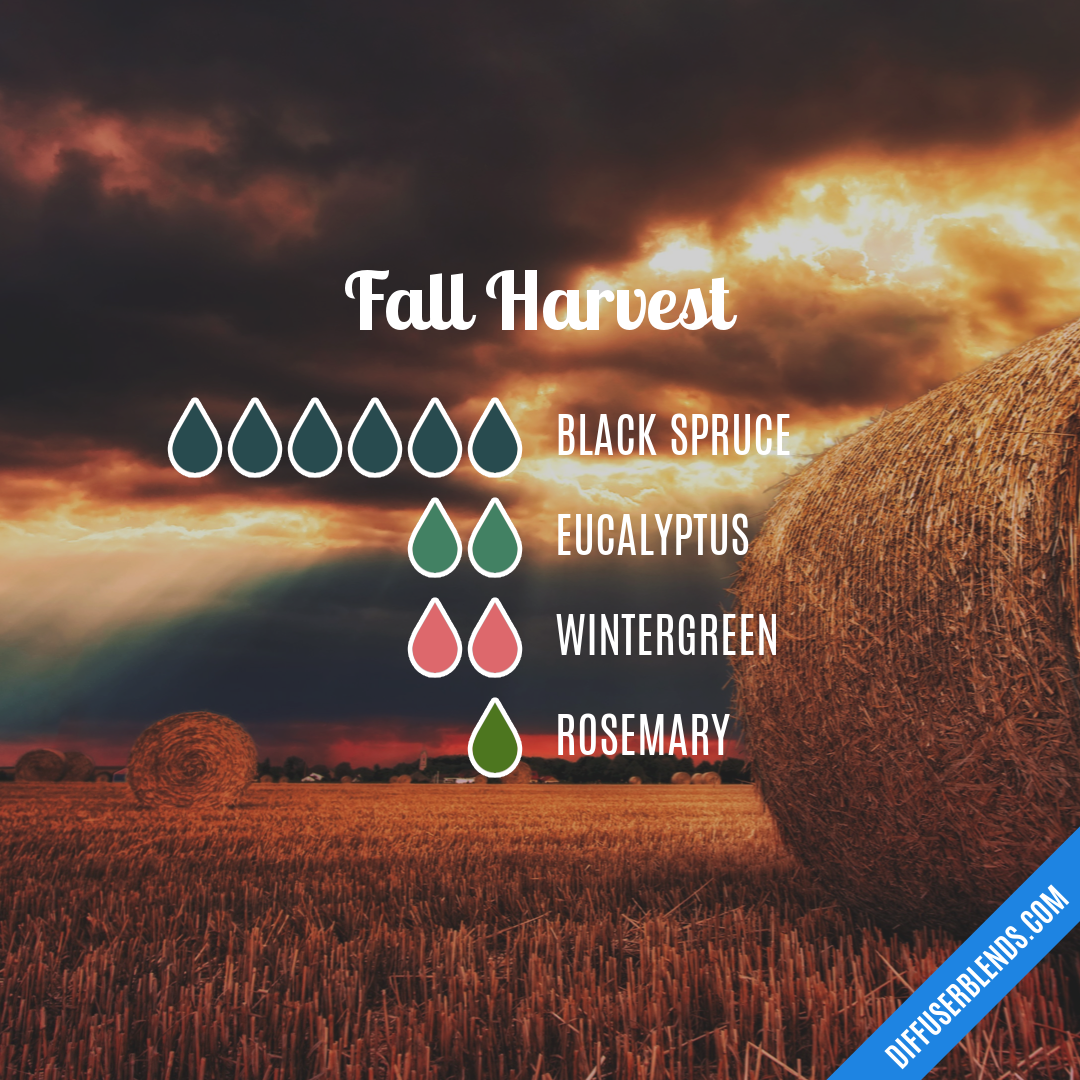 Fall Harvest — Essential Oil Diffuser Blend