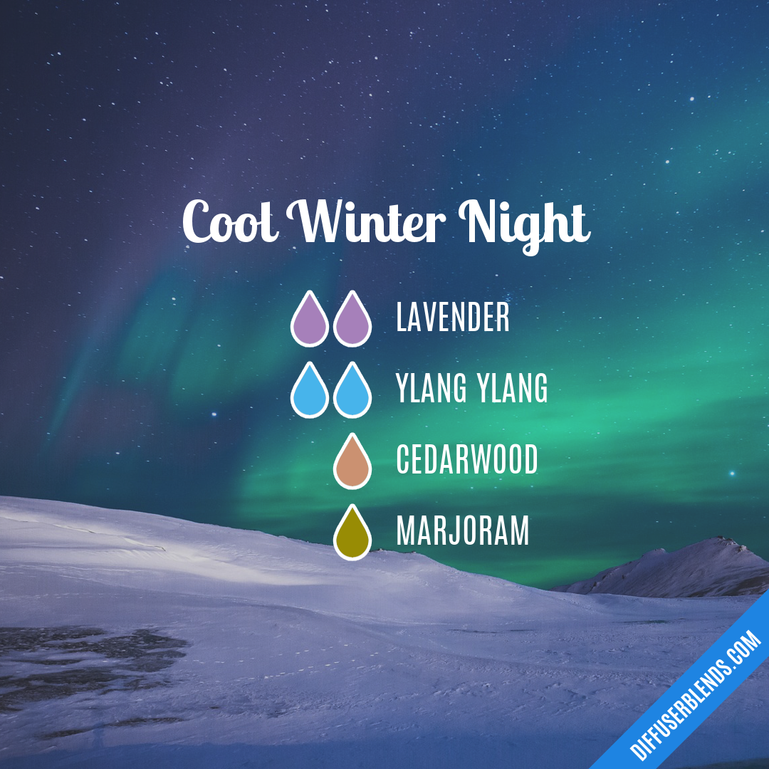 Cool Winter Night — Essential Oil Diffuser Blend