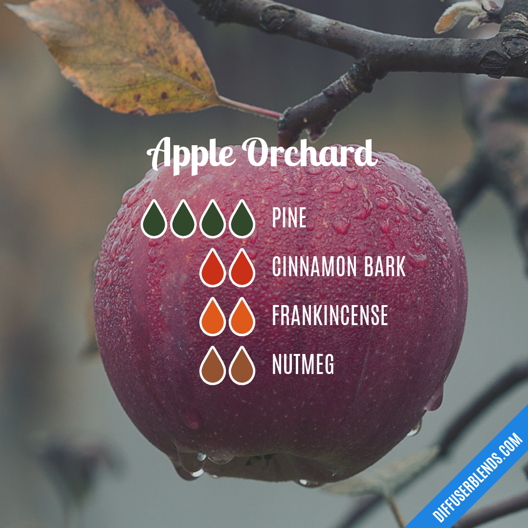 Apple Orchard — Essential Oil Diffuser Blend