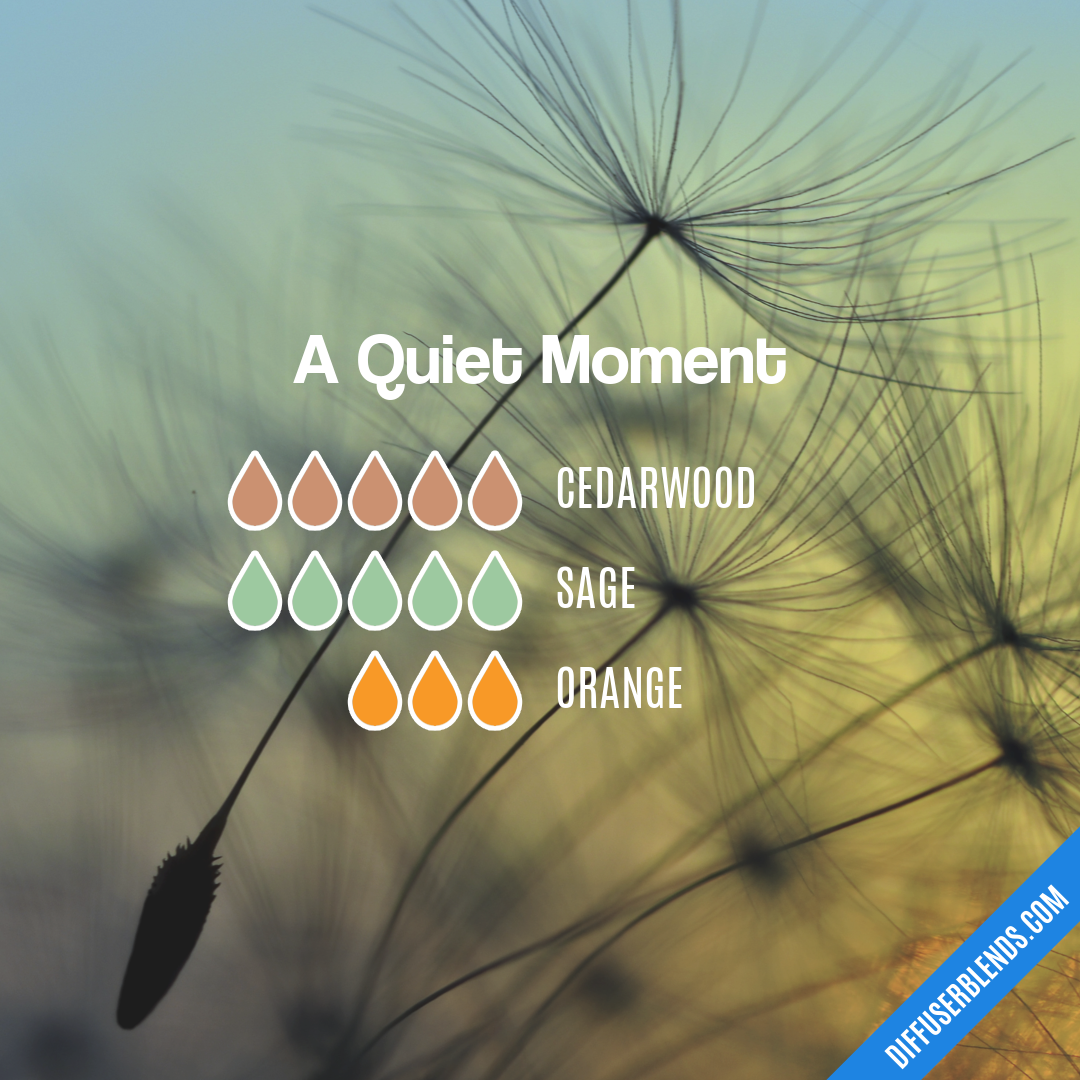 A Quiet Moment — Essential Oil Diffuser Blend