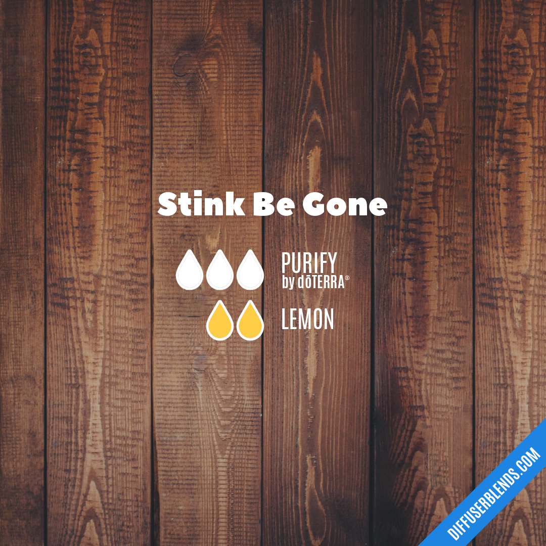 Stink Be Gone — Essential Oil Diffuser Blend